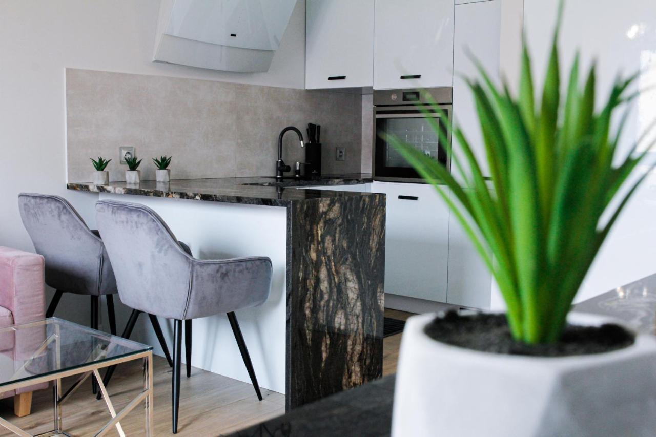 Apartament W Centrum-Garaz Kielce Dış mekan fotoğraf